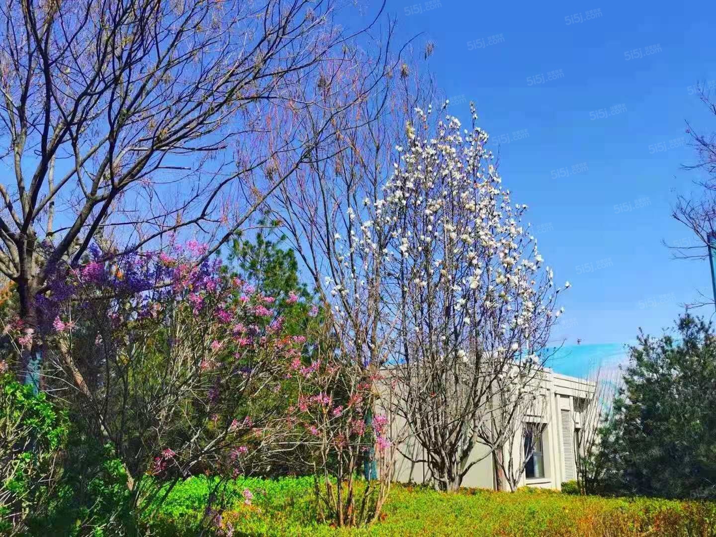 金海云城实景图