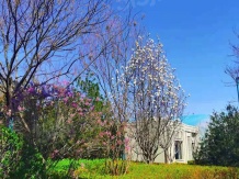 金海云城开发商营业执照相册