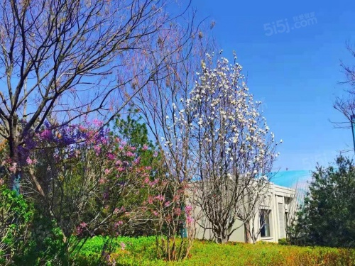 金海云城第28张图