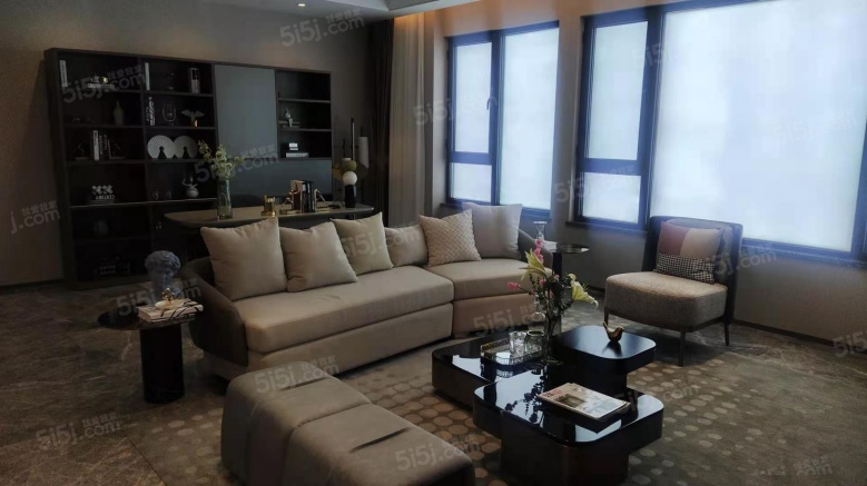 天保意境雅居样板间