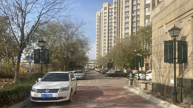 天保意境雅居实景图