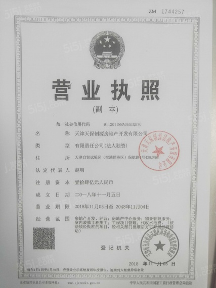 天保意境雅居开发商营业执照