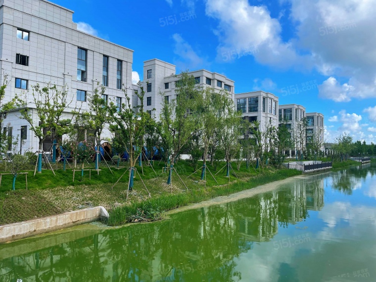 东滩商务广场实景图