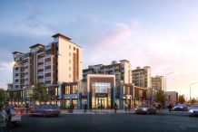 金地平江风华开发商营业执照相册