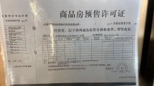 中海国际社区开发商营业执照相册