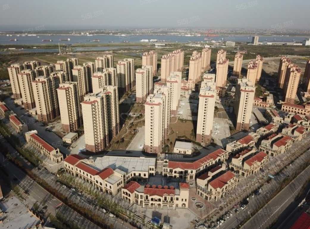 东方渔港商业街实景图