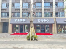 苏宁紫金嘉悦公寓沙盘图相册