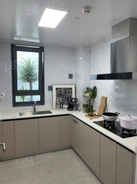 朝阳壹号第14张图