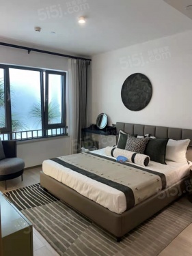 朝阳壹号第15张图