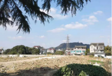 正荣西津月开发商营业执照相册