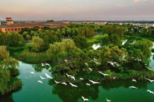 雅达乌镇雅园沙盘图相册