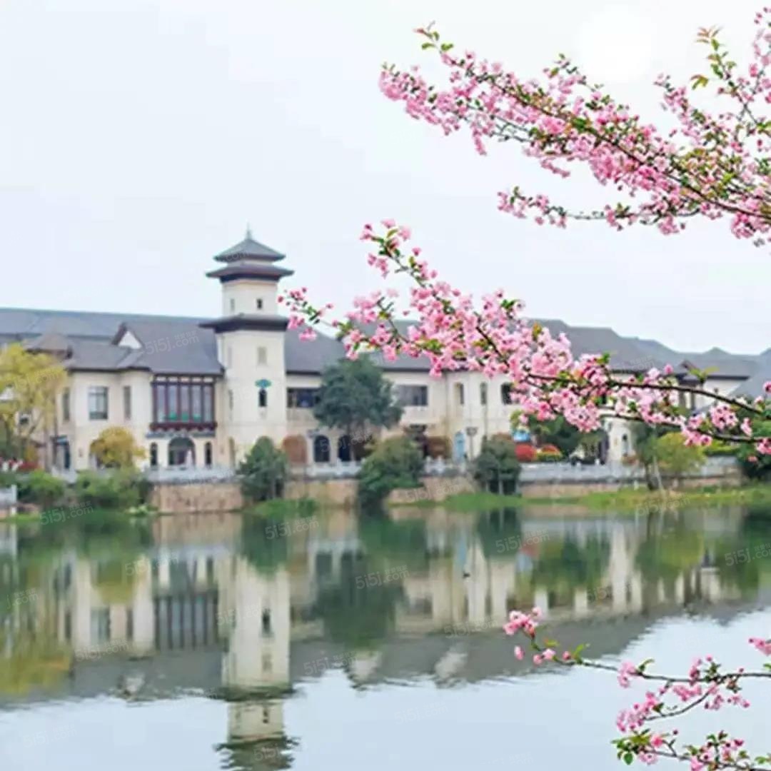 雅达乌镇雅园实景图