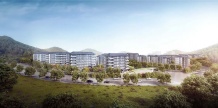 中海阅狮山开发商营业执照相册