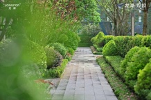 龙湖兴邦揽境开发商营业执照相册