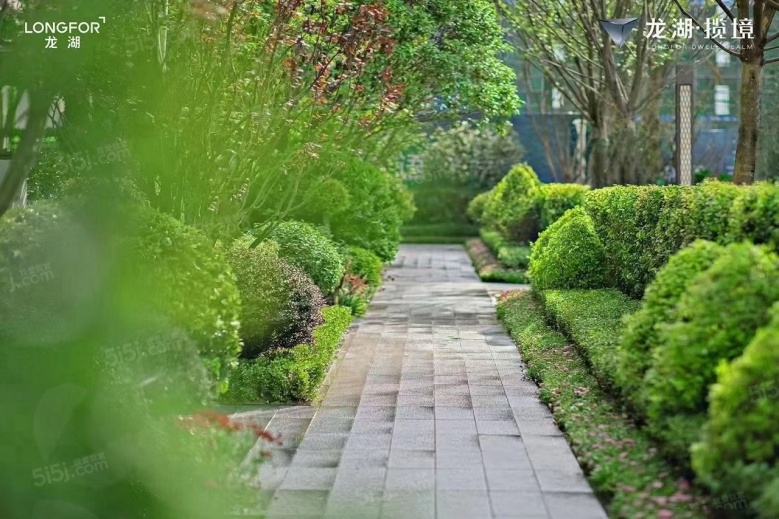 龙湖兴邦揽境实景图