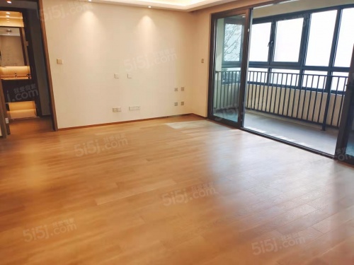 大华锦绣江来第3张图