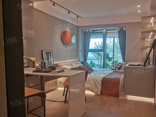 龙湖星曜第3张图