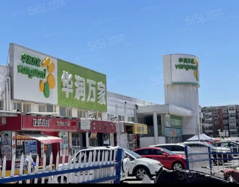 中交春风景里第18张图