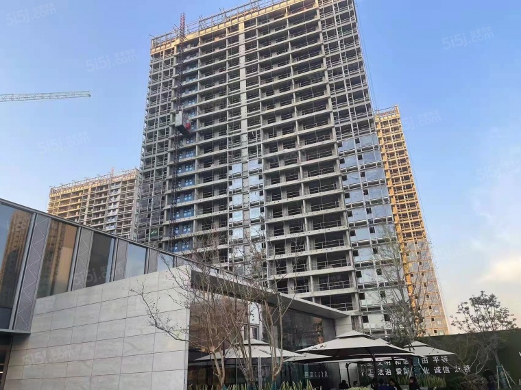 嘉致峰庭实景图