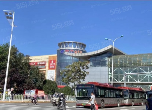 中交春风景里第20张图