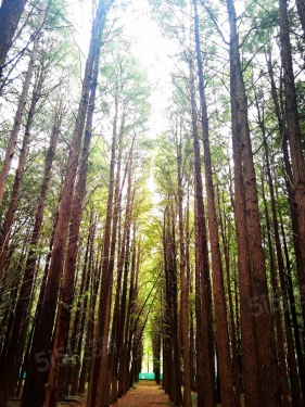 江心印第17张图