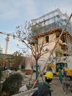 越秀龙光悦年华第9张图