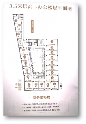 1室户型详情
