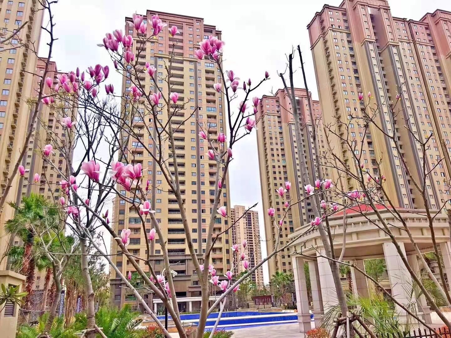 滨江裕花园实景图