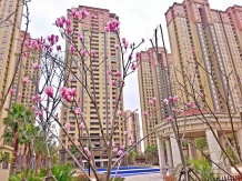 滨江裕花园沙盘图相册