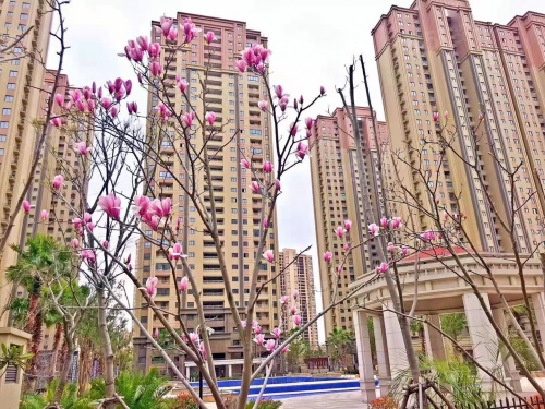 滨江裕花园第31张图