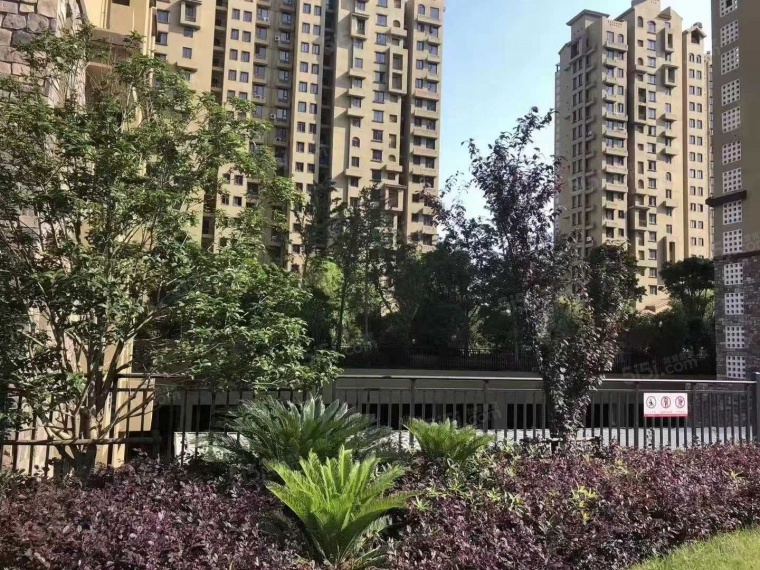 九龙山慢城实景图