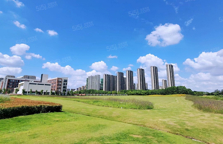 绿地理想家园配套图