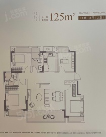星河胥江新著4室2厅2卫