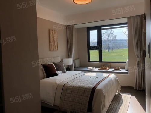 星河胥江新著第3张图