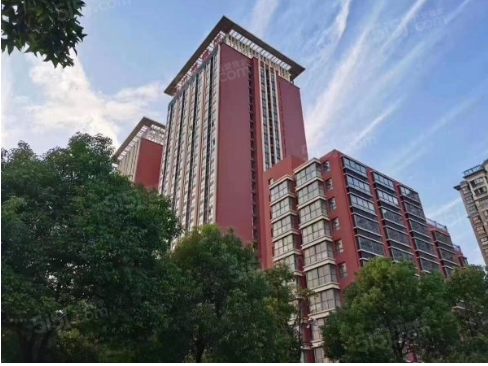 浦东微谷实景图