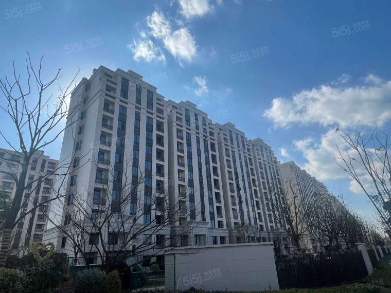 东鼎名人府邸实景图