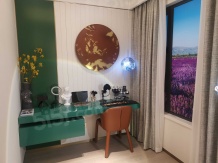 爱情花漫里沙盘图相册