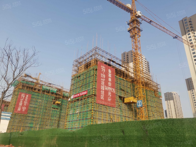 爱情花漫里实景图