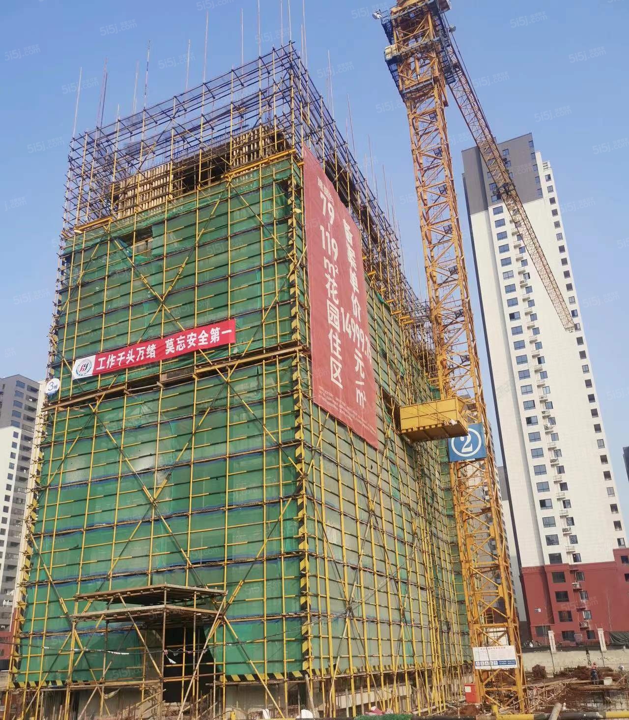 爱情花漫里实景图