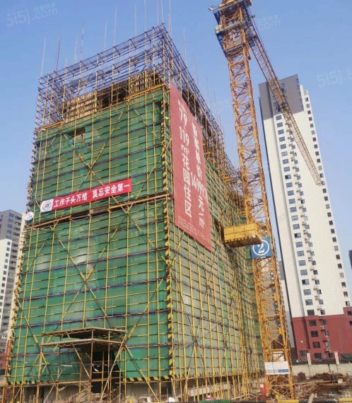 爱情花漫里实景图