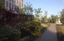 绿地公园广场沙盘图相册