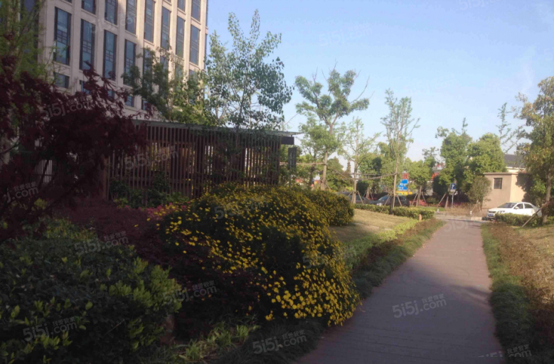 绿地公园广场实景图