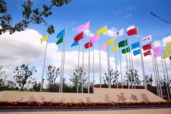 新虹桥时代公馆第28张图