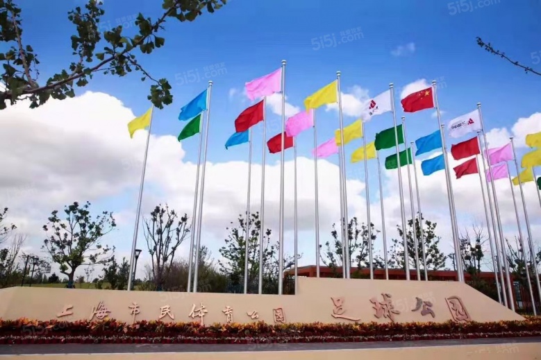 新虹桥时代公馆配套图