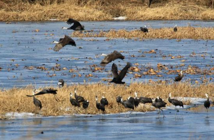 御岛财富公馆配套图