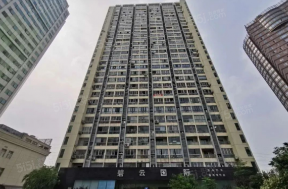 碧海现代苑第5张图