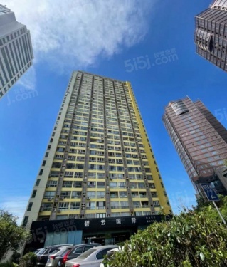 碧海现代苑第4张图