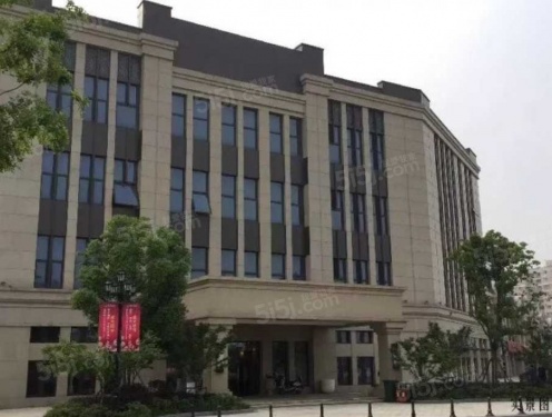 祝桥云栖之星第5张图