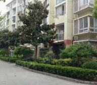 上海滨河公馆沙盘图相册