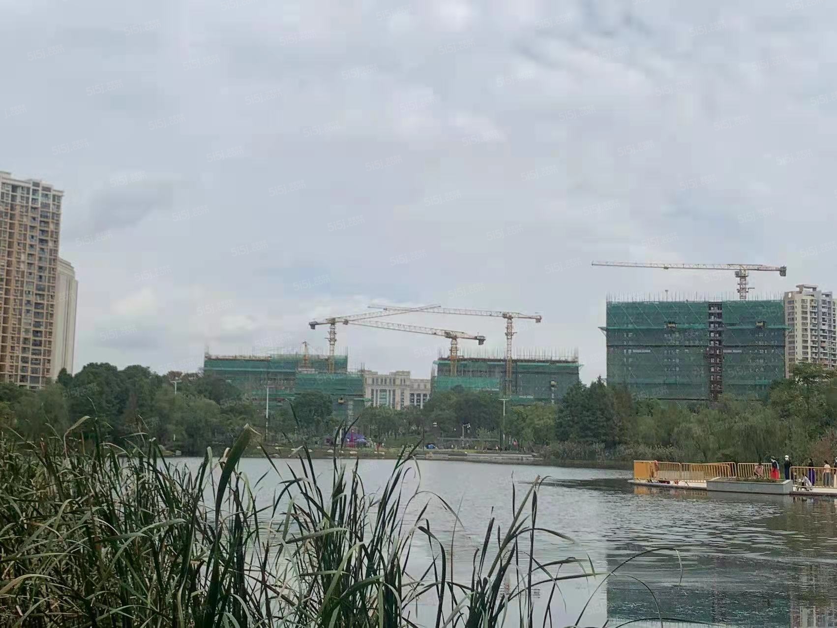 颐和天樾花园实景图